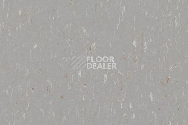 Линолеум Marmoleum Solid Piano 3601-360135 warm grey фото 1 | FLOORDEALER